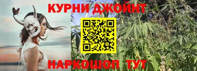 СК Моздок