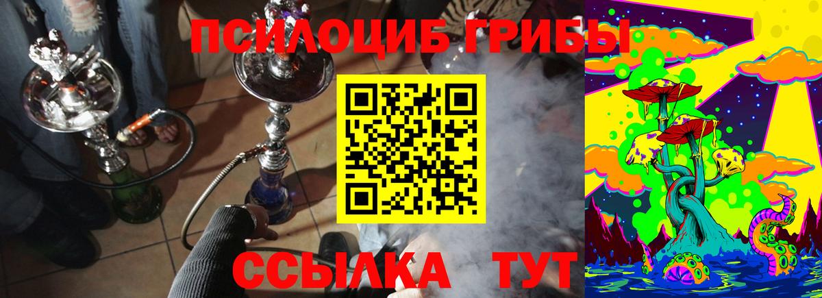 Псилоцибиновые грибы Psilocybe Сарапул